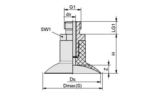 SGN 45 SI-60 G1/4-AG