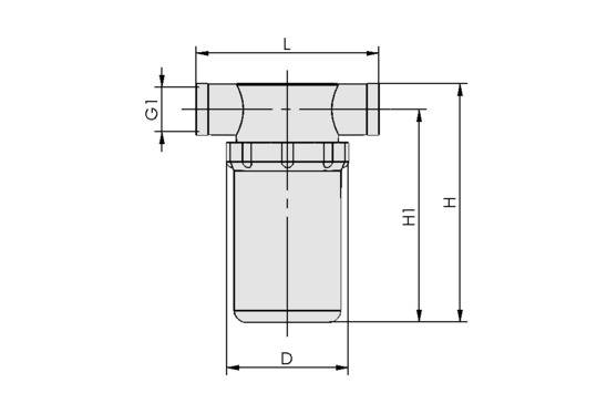 VFT G1/8-IG 80