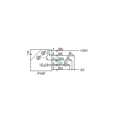 SPAW-P25R-G12M-2PV-M12 8022809 FESTO - Датчик давления 0÷25 бар, 2XНО/НЗ PNP, 0-10 В, G1/2, M12, изображение 2